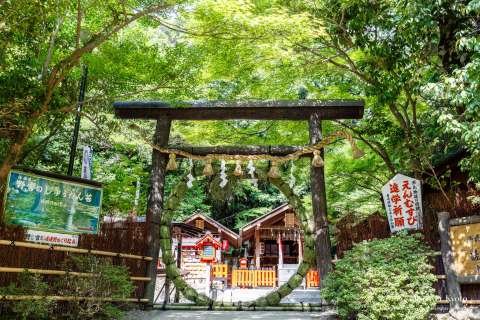 ⛩️ 류큐 팔사 아마쿠쿠 신궁 (아메쿠구) 이미지 11